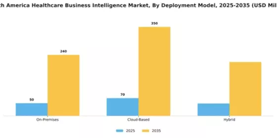 South America Healthcare Business Intelligence Market Segment Image 2