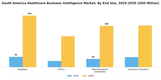 South America Healthcare Business Intelligence Market Segment Image 3