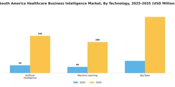 South America Healthcare Business Intelligence Market Segment Image 4