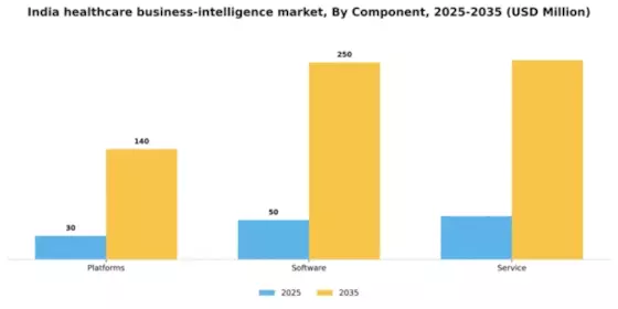 India Healthcare Business Intelligence Market Segment Image 0