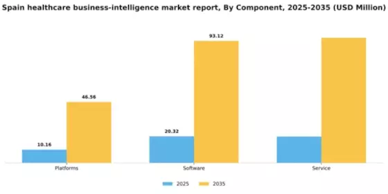 Spain Healthcare Business Intelligence Market Segment Image 0