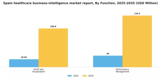Spain Healthcare Business Intelligence Market Segment Image 1