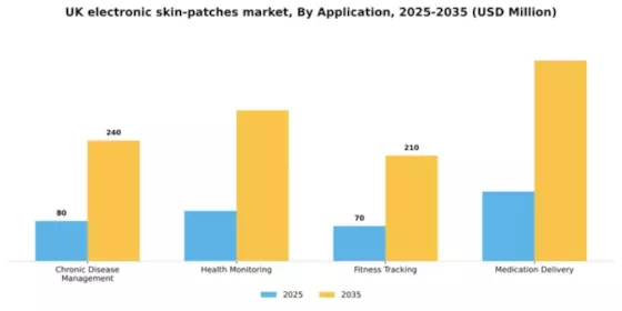 UK Electronic Skin Patches Market Segment Image 0
