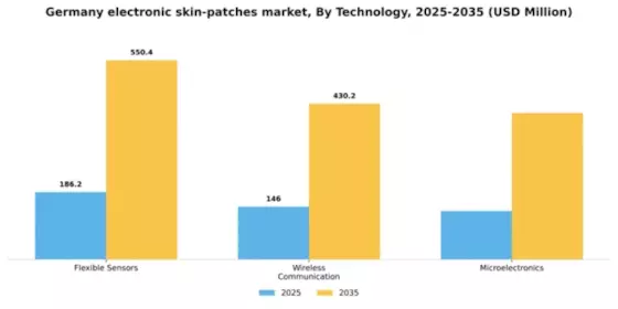 Germany Electronic Skin Patches Market Segment Image 3