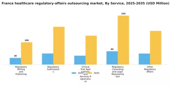 France Healthcare Regulatory Affairs Outsourcing Market Segment Image 1