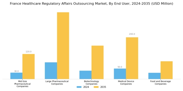 France Healthcare Regulatory Affairs Outsourcing Market Segment Image 1