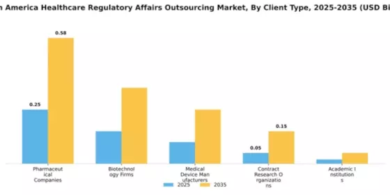 South America Healthcare Regulatory Affairs Outsourcing Market Segment Image 0