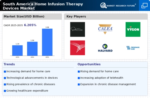 South America Home Infusion Therapy Devices Market Infographic