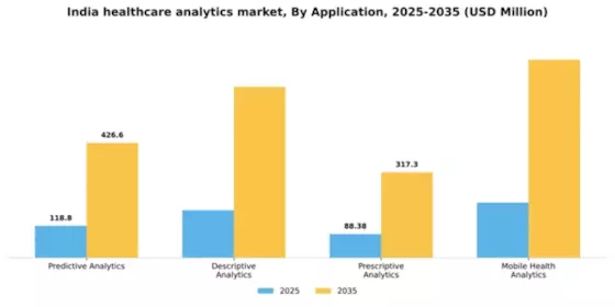 India Healthcare Analytics Market Segment Image 0