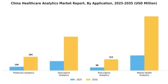 China Healthcare Analytics Market Segment Image 0