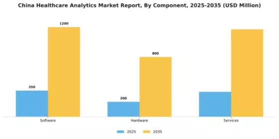 China Healthcare Analytics Market Segment Image 1