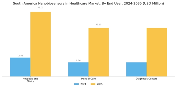 South America Nanobiosensors In Healthcare Market Segment Image 2
