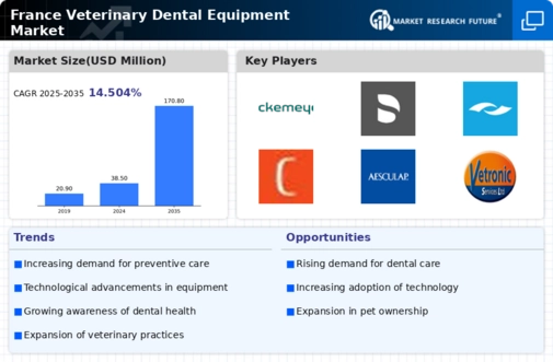 France Veterinary Dental Equipment Market Infographic