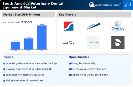 South America Veterinary Dental Equipment Market Infographic
