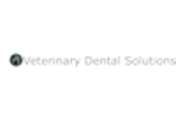 Spain Veterinary Dental Equipment Market key player
