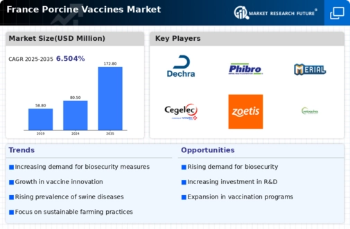 France Porcine Vaccines Market Infographic