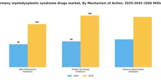 Germany Myelodysplastic Syndrome Drugs Market Segment Image 0