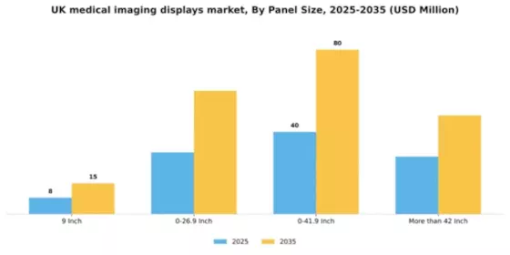 UK Medical Imaging Displays Market Segment Image 2
