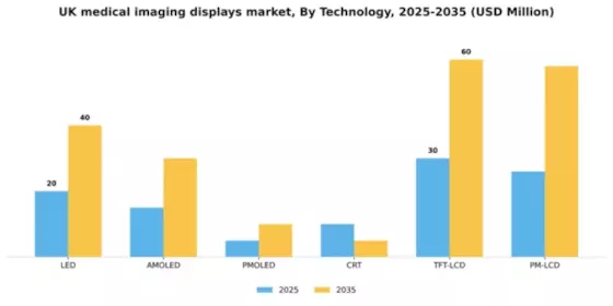 UK Medical Imaging Displays Market Segment Image 4