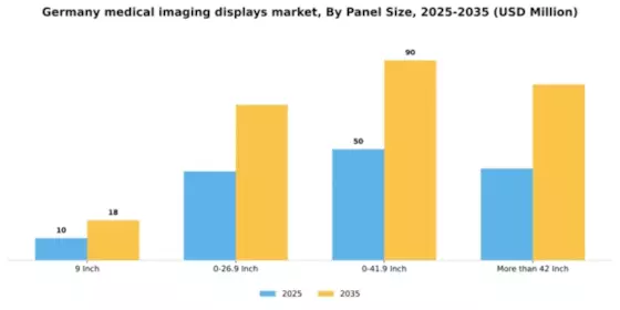 Germany Medical Imaging Displays Market Segment Image 2