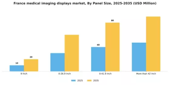 France Medical Imaging Displays Market Segment Image 2