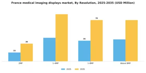 France Medical Imaging Displays Market Segment Image 3
