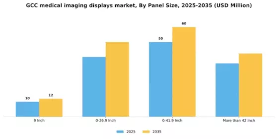 GCC Medical Imaging Displays Market Segment Image 2