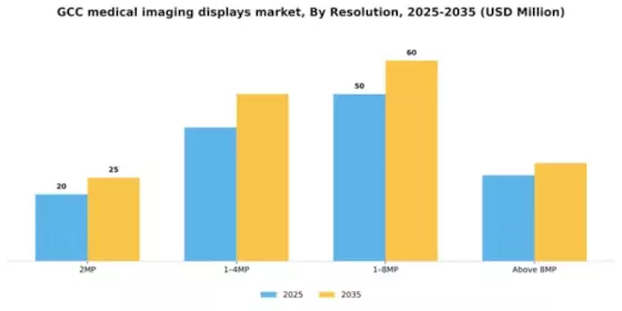 GCC Medical Imaging Displays Market Segment Image 3