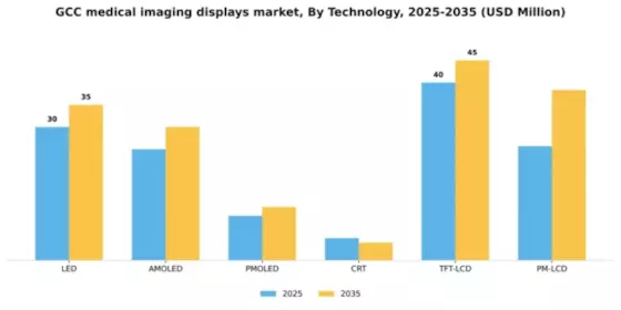 GCC Medical Imaging Displays Market Segment Image 4