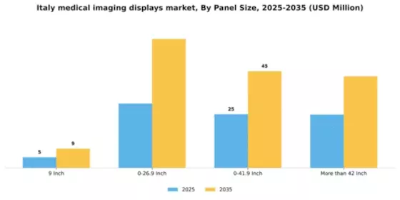 Italy Medical Imaging Displays Market Segment Image 2