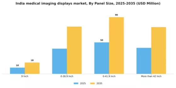 India Medical Imaging Displays Market Segment Image 2