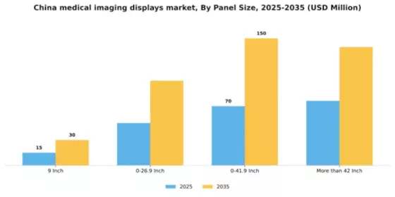 China Medical Imaging Displays Market Segment Image 2