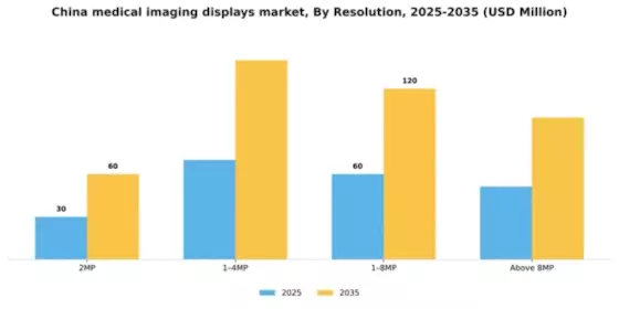 China Medical Imaging Displays Market Segment Image 3