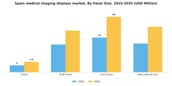 Spain Medical Imaging Displays Market Segment Image 2