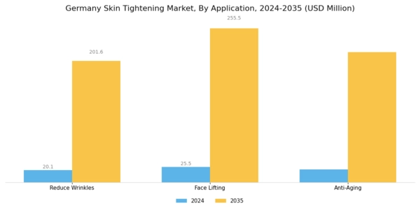 Germany Skin Tightening Market Segment Image 1