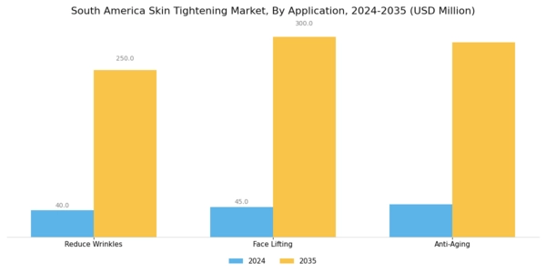 South America Skin Tightening Market Segment Image 1