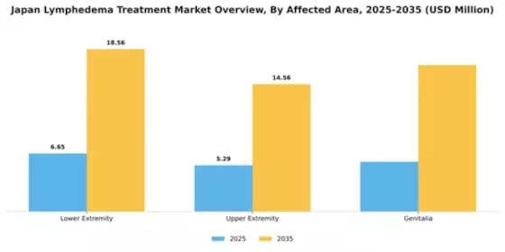 Japan Lymphedema Treatment Market Segment Image 0