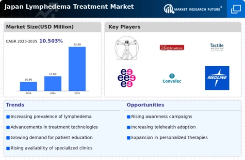 Japan Lymphedema Treatment Market Infographic