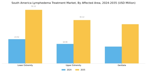 South America Lymphedema Treatment Market Segment Image 1