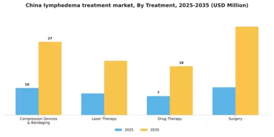 China Lymphedema Treatment Market Segment Image 2