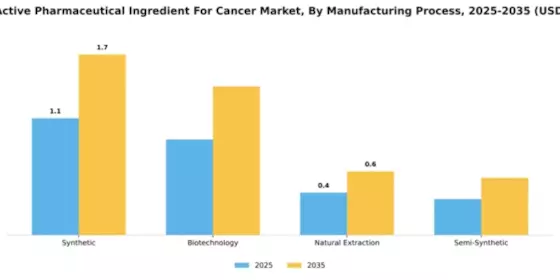 France Active Pharmaceutical Ingredient Cancer Market Segment Image 3