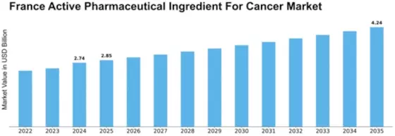 France Active Pharmaceutical Ingredient Cancer Market Size