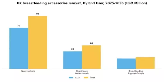 UK Breast Feeding Accessories Market Segment Image 1