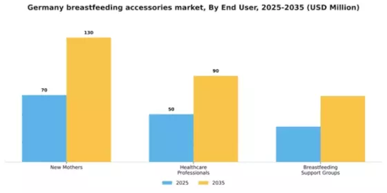 Germany Breast Feeding Accessories Market Segment Image 1