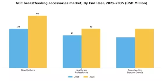 GCC Breast Feeding Accessories Market Segment Image 1