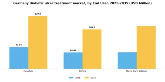 Germany Diabetic Ulcer Treatment Market Segment Image 2