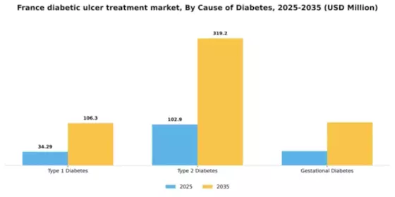 France Diabetic Ulcer Treatment Market Segment Image 0