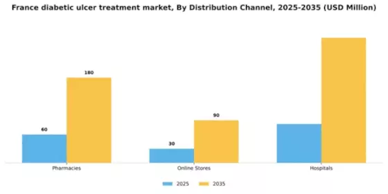 France Diabetic Ulcer Treatment Market Segment Image 1