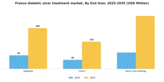 France Diabetic Ulcer Treatment Market Segment Image 2