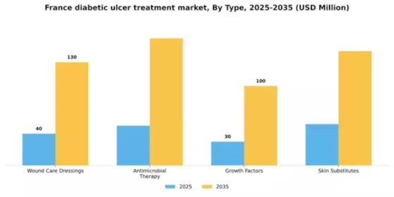 France Diabetic Ulcer Treatment Market Segment Image 3